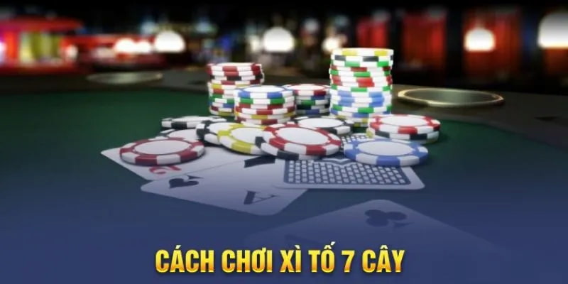 Cách Chơi Xì Tố 7 Cây Tại BK8: Từ A Đến Z Cho Người Mới